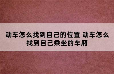 动车怎么找到自己的位置 动车怎么找到自己乘坐的车厢